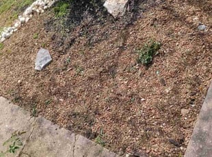 Weeding by Ryan Ruby for Grace S. in Kansas City, MO