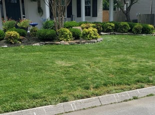 Weeding by Allen Reed for Taylor U. in Knoxville, TN