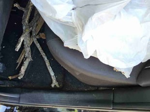 Cleanups by Jae McDonald for Sam M. in Euless, TX