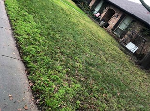 Cleanups by Simon Diamond for Matthew S. in Dallas, TX