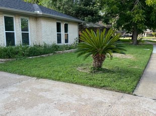 Bush Trimming by Nicole Ross for Jimmy N. in Pearland, TX