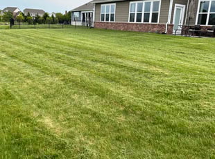 Diane B.'s Lawn Mowing service result