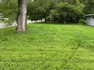 John E.'s Lawn Mowing service result