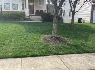 Victoria N.'s Lawn Mowing service result