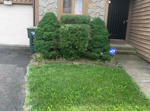 Bush Trimming by B.J. Schuetz for Chloe B. in Columbus, OH