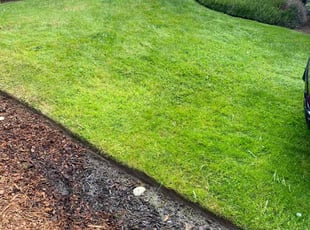 Jonathan T.'s Lawn Care service result