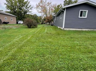 Stephen T.'s Lawn Mowing service result