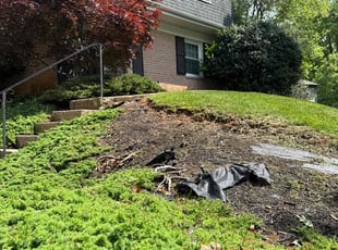 Weeding by Luiz Gosling De Oliveira for Raymond H. in Rockville, MD