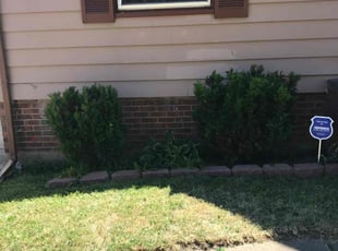 Bush Trimming by Scott Basinger for Sandi C. in Cleveland, OH