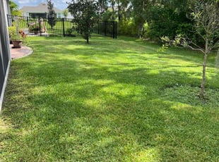 Harland H.'s Lawn Mowing service result