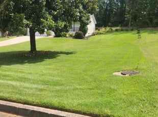 Ladesha J.'s Lawn Service service result