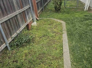 Cleanups by Juan Rodriguez for Jan M. in Rocklin, CA