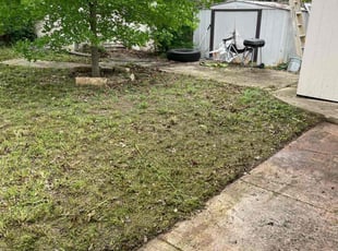 Leaf Removal by Ceaser Villagomez for Ruby G. in San Antonio, TX