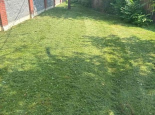 Julie / Lorraine W.'s Grass Cutting service result