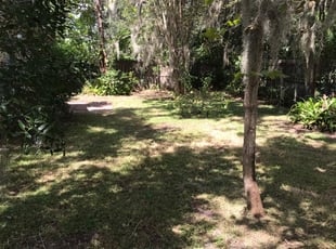 Cleanups by Markevia Fambro for Benjamin T. in DeLand, FL