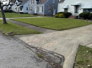 Laverne M.'s Lawn Mowing service result