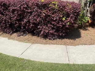 Bush Trimming by Latonya Talley for Cliff W. in Marietta, GA
