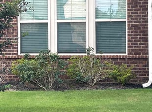 Adrian C.'s Flower Bed Weeding service result