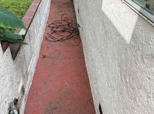 Leaf Removal by Santos Pereira for Alex B. in Los Angeles, CA