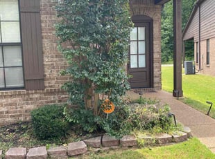 Bush Trimming by Cordarius Bush for Nicole J. in Cordova, TN