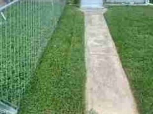 Douglas C.'s Lawn Mowing service result