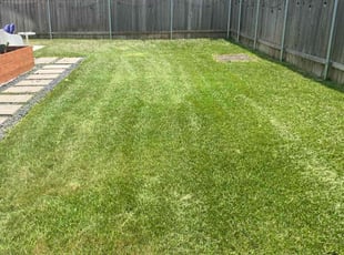 Angelia B.'s Grass Cutting service result