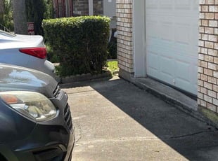 Bush Trimming by Richard Thomas for Derek P. in Kenner, LA