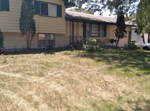 Bush Trimming by Eric Hahn for Russel A. in Minneapolis, MN