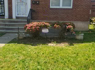 Bush Trimming by Marvin Simmons for Kayla G. in Philadelphia, PA
