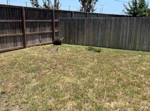 Landscaping by Christopher Delacerda for Kathy J. in San Antonio, TX