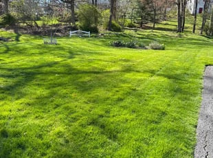 Kelly O.'s Lawn Service service result