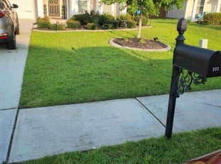 Tracy L.'s Lawn Care service result