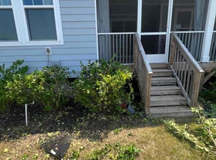 Bush Trimming by Dominque Medlin for Varun K. in Holly Springs, NC