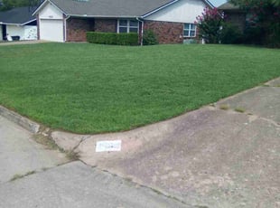 Peter B.'s Lawn Mowing Service service result
