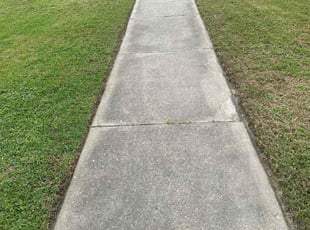 Stephen K.'s Lawn Mowing Service service result