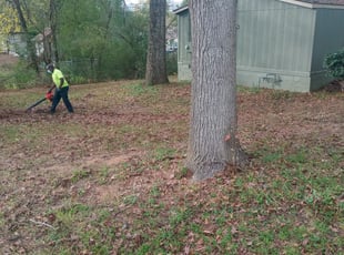 Leaf Removal by Korey McCoy for Aaron B. in Acworth, GA