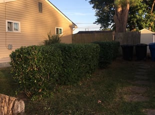 Bush Trimming by Brandon Dickerson for Sarah K. in Virginia Beach, VA