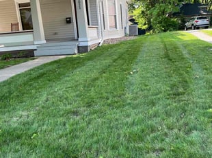 Richard V.'s Lawn Service service result