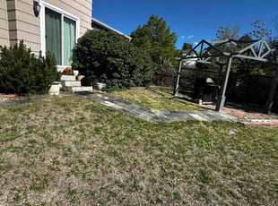 Cleanups by Carlos Guevara for Amanda G. in Aurora, CO