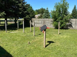 Adrienne G.'s Lawn Care service result