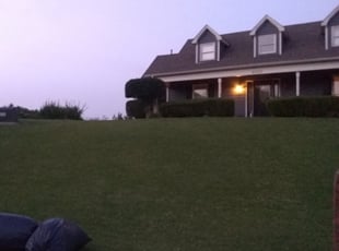 Bush Trimming by Johnny Wright for JENNA G. in Memphis, TN
