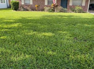 Mike M.'s Lawn Mowing Service service result