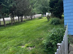 Patricia S.'s Lawn Mowing service result