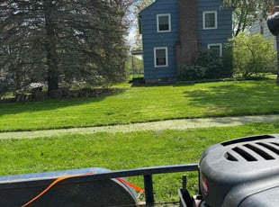 Lynn T.'s Lawn Mowing service result