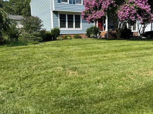 Sally M.'s Grass Cutting service result