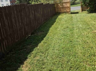 Brittany T.'s Grass Cutting service result
