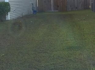 Cleanups by Pamela Washington for Angelica S. in Johns Island, SC
