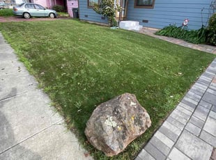 Beverly P.'s Lawn Mowing Service service result