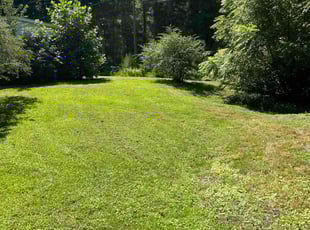 Mary B.'s Lawn Maintenance service result