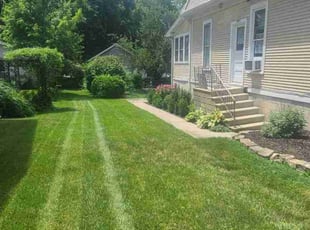 Evelyn C.'s Lawn Mowing Service service result